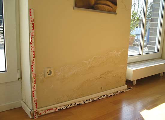 Gutachten Feuchteschaden